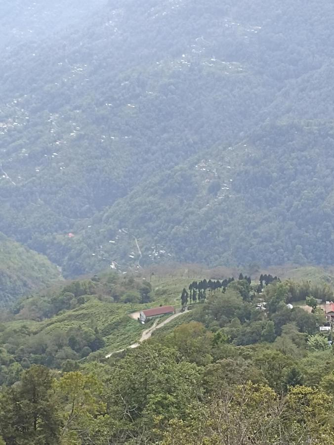 Bastola Stay Darjeeling  Bagian luar foto